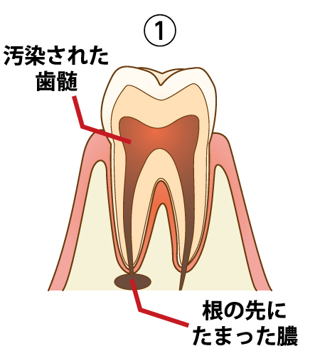 さくら歯科医院