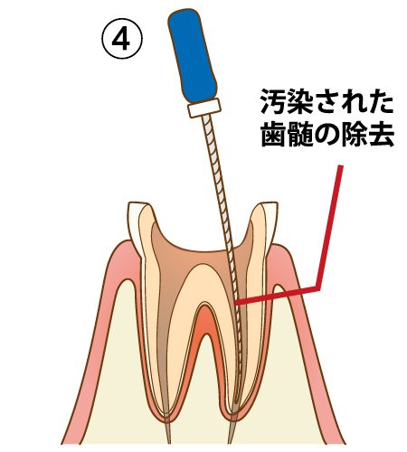 さくら歯科医院